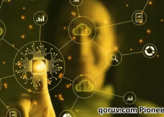 qoruv.com Pioneering Firm